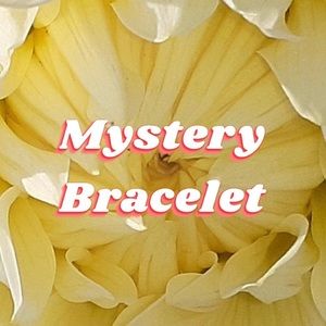 Mystery Bracelet ~ A Jewelry Surprise shipped to your doorstep!
